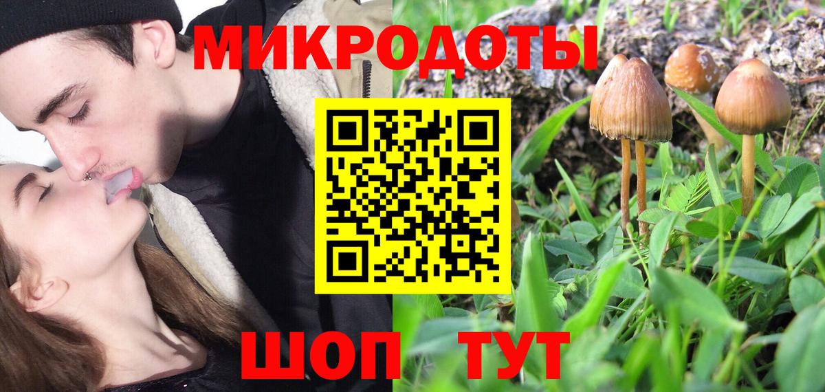 Армавир  Галлюциногенные грибы Psilocybine cubensis  Вход с VPN 